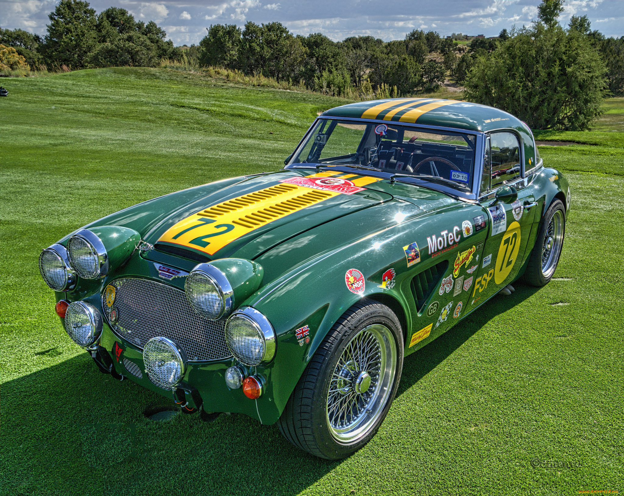 1966 austin healey 3000 mk, iii racecar, ,    , , 